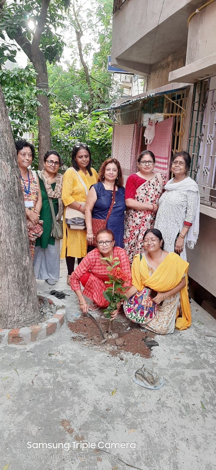 Tree plantation drive